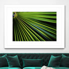 Tropical Bliss II by Norm Stelfox on GIANT ART - green photo art