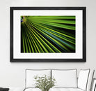 Tropical Bliss II by Norm Stelfox on GIANT ART - green photo art