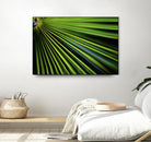 Tropical Bliss II by Norm Stelfox on GIANT ART - green photo art