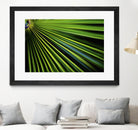 Tropical Bliss II by Norm Stelfox on GIANT ART - green photo art