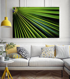 Tropical Bliss II by Norm Stelfox on GIANT ART - green photo art