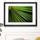 Tropical Bliss II by Norm Stelfox on GIANT ART - green photo art