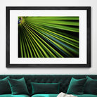 Tropical Bliss II by Norm Stelfox on GIANT ART - green photo art