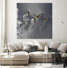 Canary Islands by Norm Stelfox on GIANT ART - green photo art