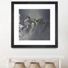 Canary Islands by Norm Stelfox on GIANT ART - green photo art