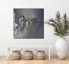 Canary Islands by Norm Stelfox on GIANT ART - green photo art