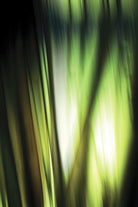 Organic I by PI Studio on GIANT ART - black photo art