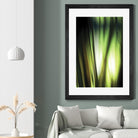 Organic I by PI Studio on GIANT ART - black photo art