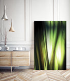 Organic I by PI Studio on GIANT ART - black photo art