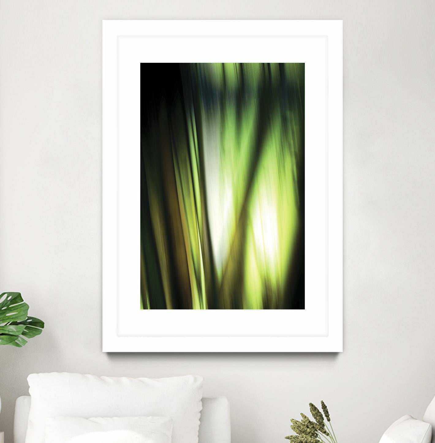 Organic I by PI Studio on GIANT ART - black photo art