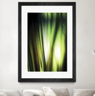 Organic I by PI Studio on GIANT ART - black photo art