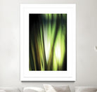 Organic I by PI Studio on GIANT ART - black photo art