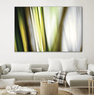 Organic II by PI Studio on GIANT ART - white photo art