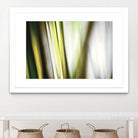 Organic II by PI Studio on GIANT ART - white photo art