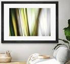 Organic II by PI Studio on GIANT ART - white photo art