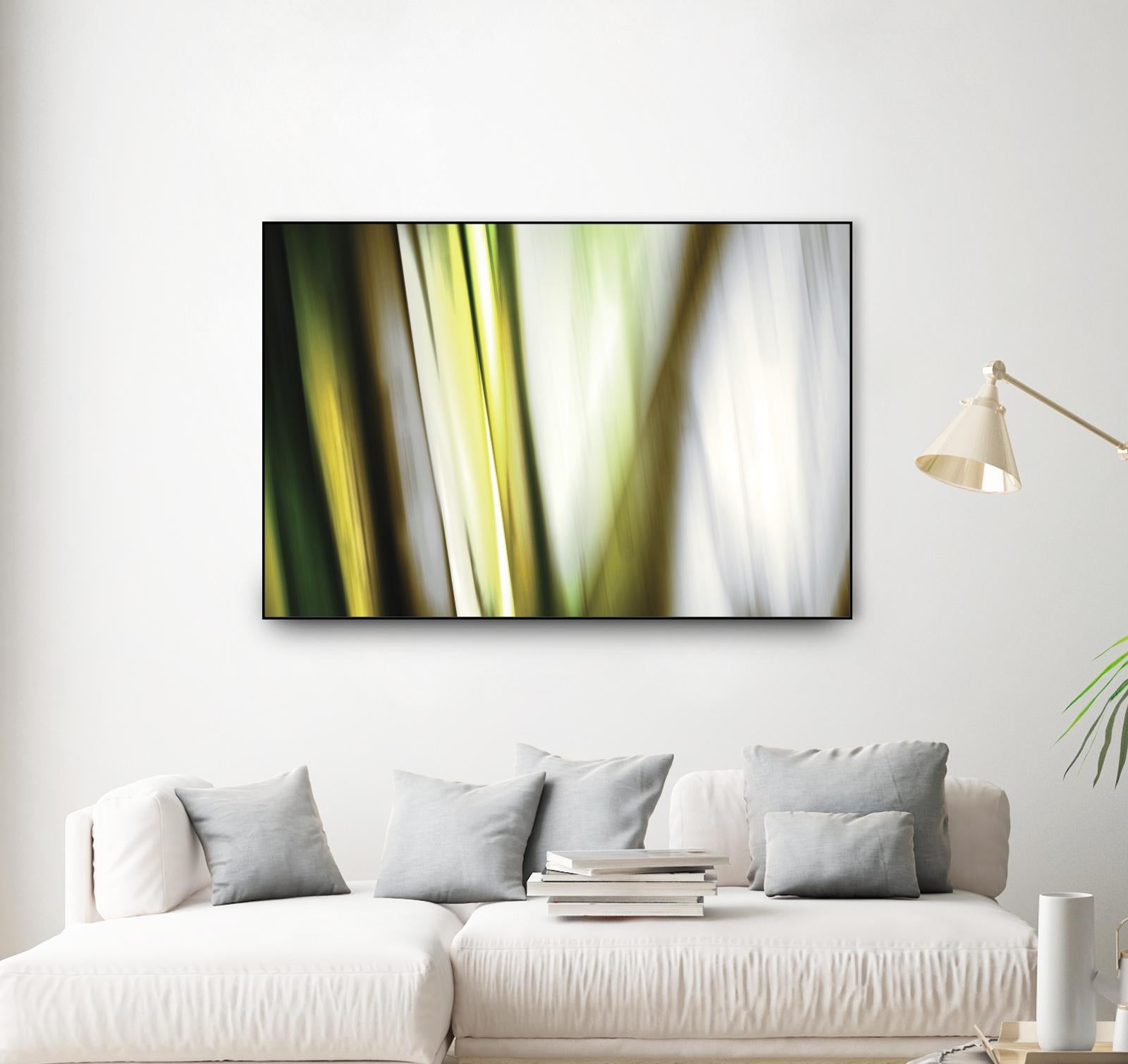 Organic II by PI Studio on GIANT ART - white photo art