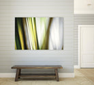 Organic II by PI Studio on GIANT ART - white photo art