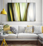 Organic II by PI Studio on GIANT ART - white photo art