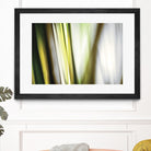 Organic II by PI Studio on GIANT ART - white photo art