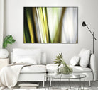 Organic II by PI Studio on GIANT ART - white photo art
