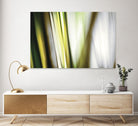 Organic II by PI Studio on GIANT ART - white photo art