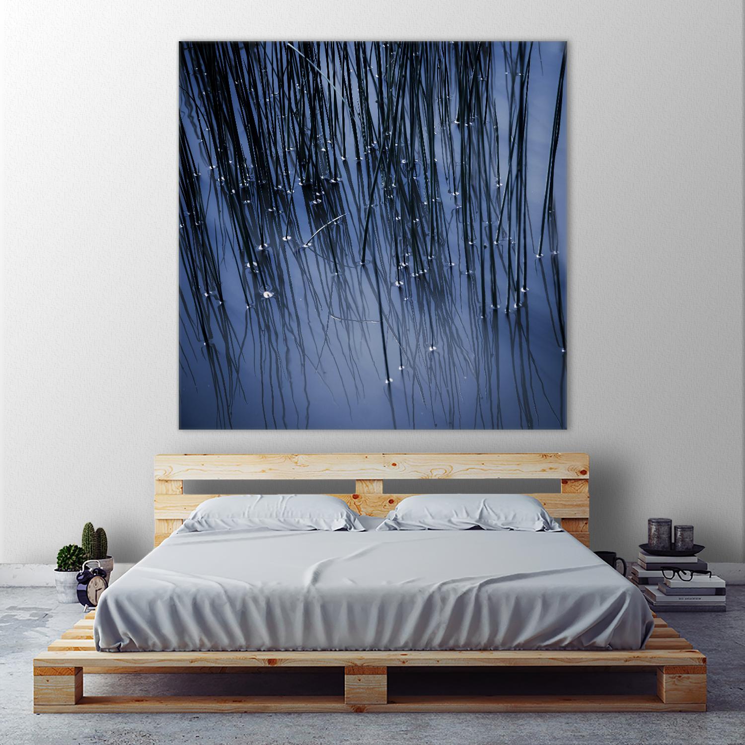 Lily Pond Blue III by Rebecca Cozart on GIANT ART - black photo art