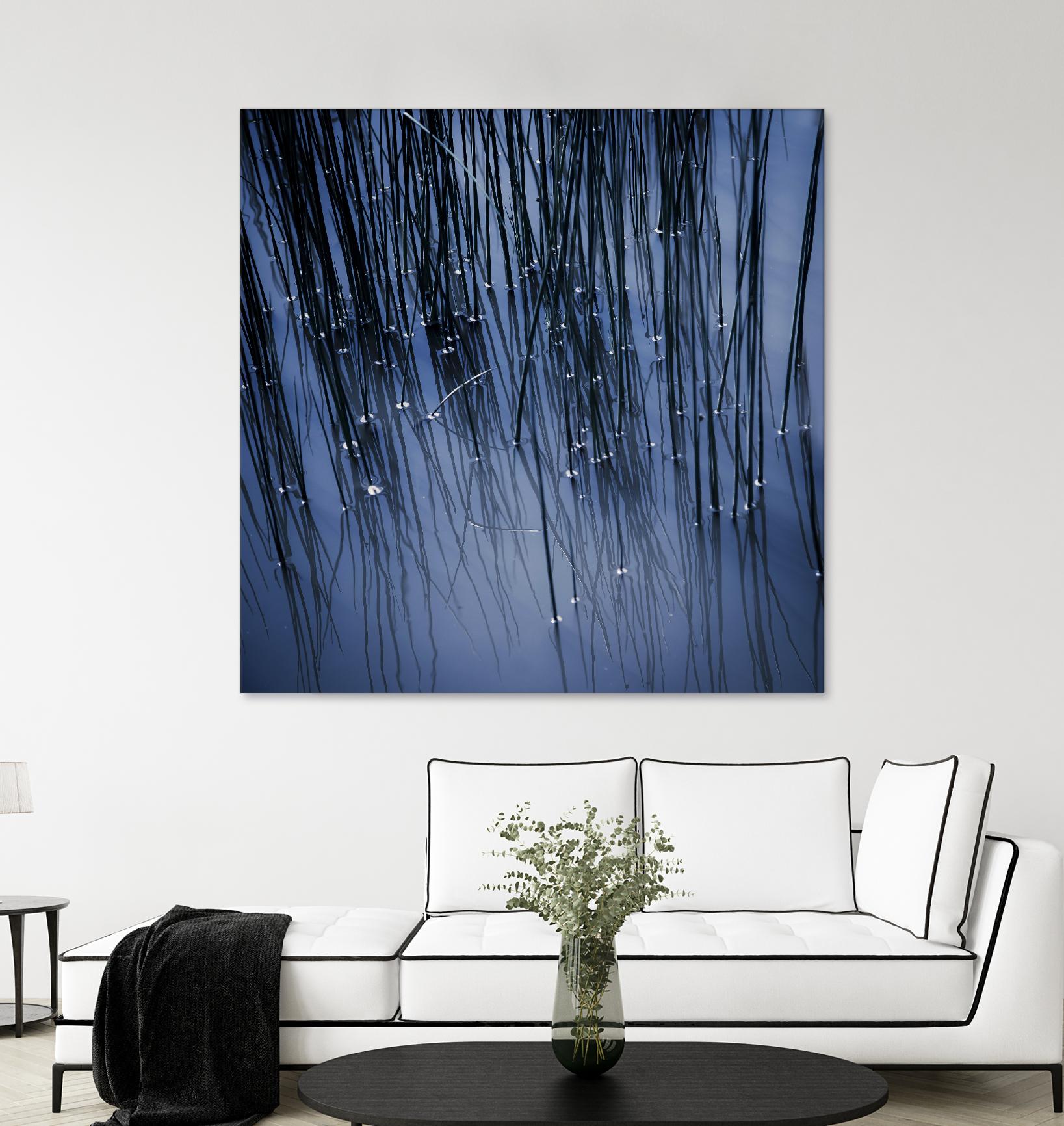 Lily Pond Blue III by Rebecca Cozart on GIANT ART - black photo art