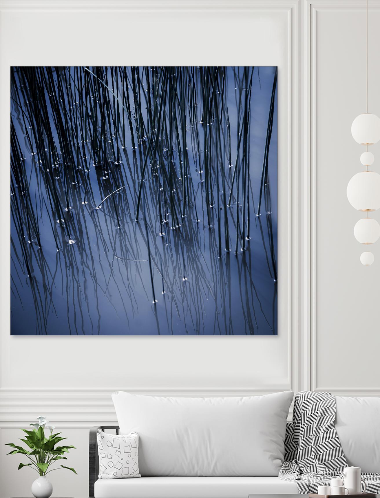 Lily Pond Blue III by Rebecca Cozart on GIANT ART - black photo art