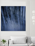 Lily Pond Blue III by Rebecca Cozart on GIANT ART - black photo art