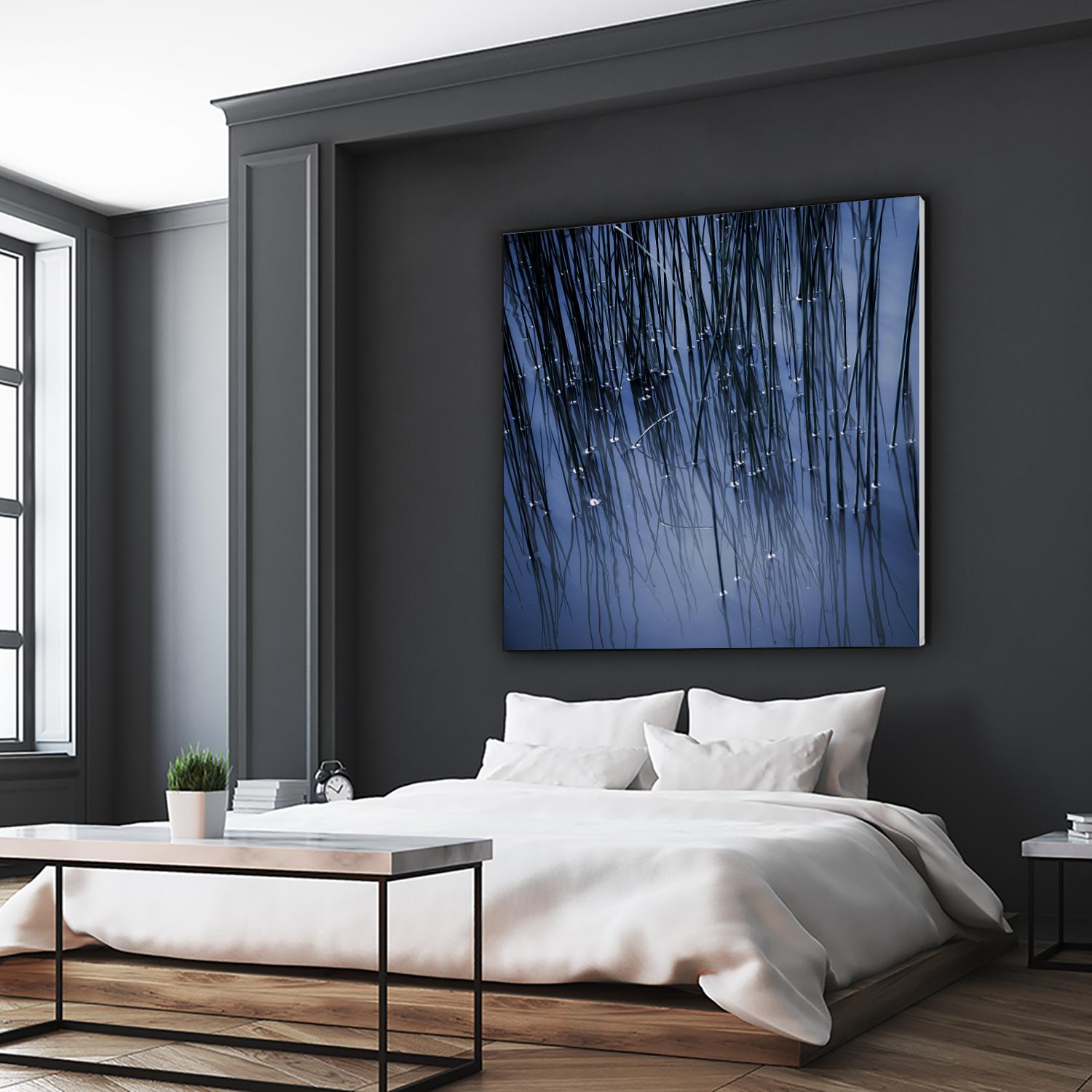 Lily Pond Blue III by Rebecca Cozart on GIANT ART - black photo art