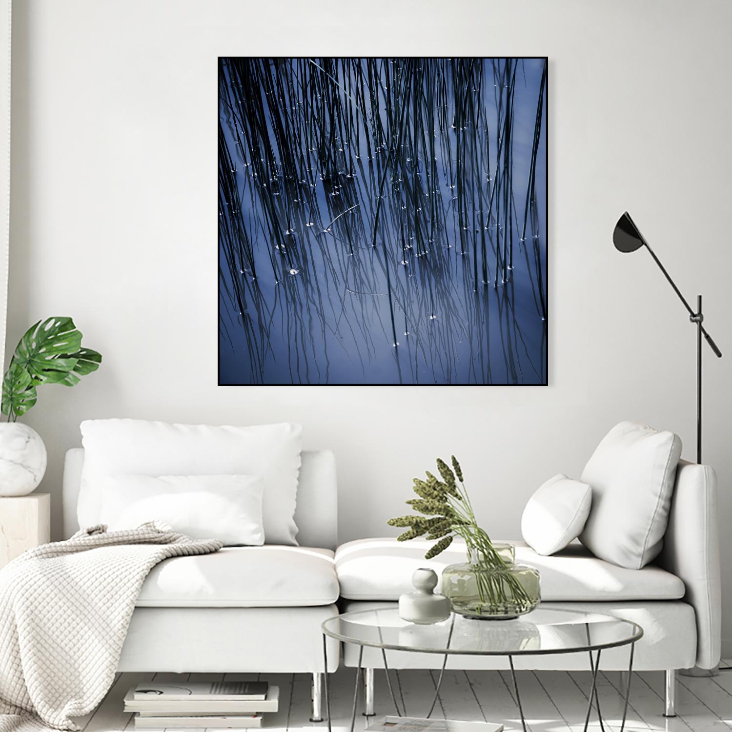 Lily Pond Blue III by Rebecca Cozart on GIANT ART - black photo art
