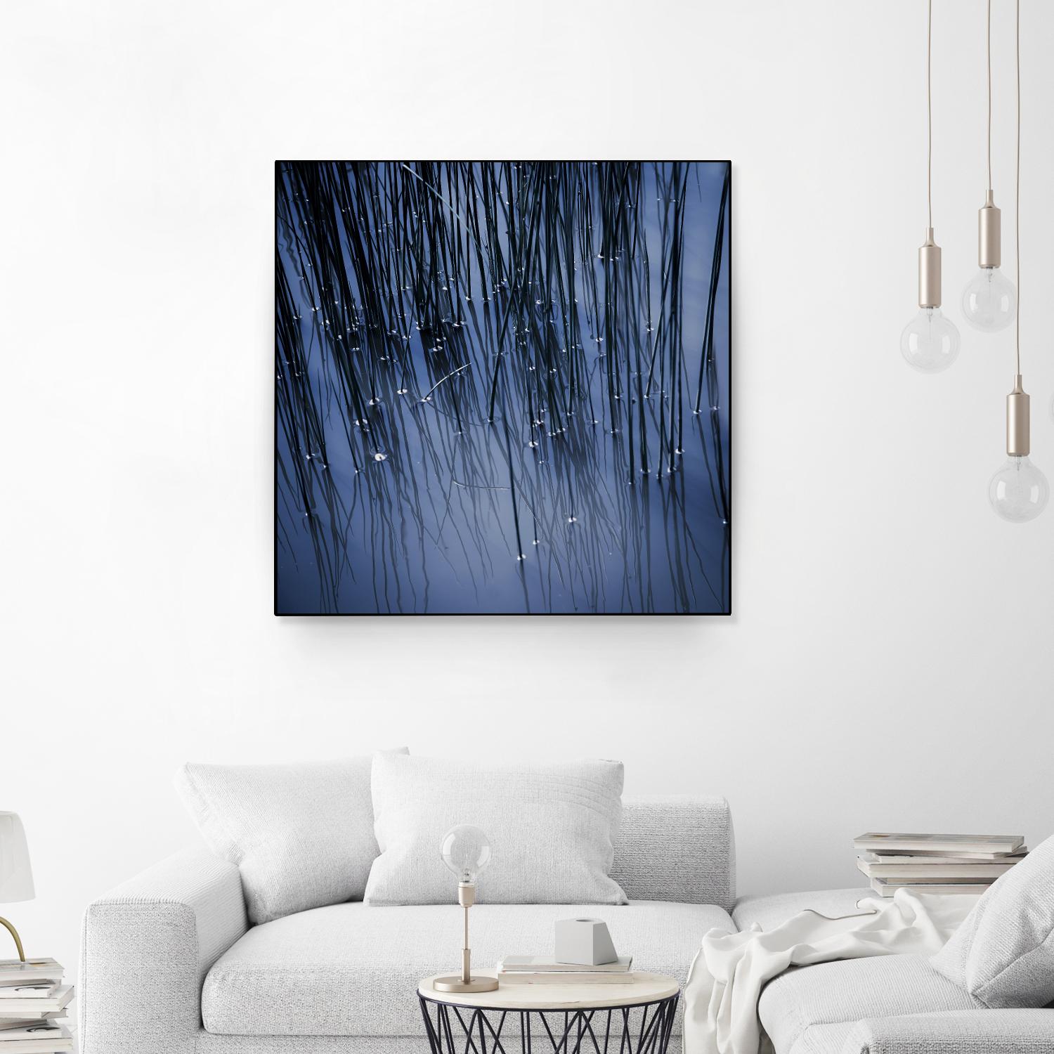 Lily Pond Blue III by Rebecca Cozart on GIANT ART - black photo art