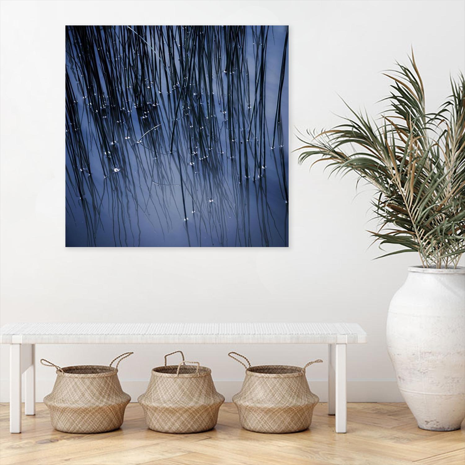 Lily Pond Blue III by Rebecca Cozart on GIANT ART - black photo art