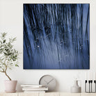 Lily Pond Blue III by Rebecca Cozart on GIANT ART - black photo art