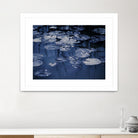 Lili Pond Blue VII by Marc Schacter on GIANT ART - grey photo art