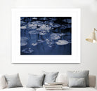 Lili Pond Blue VII by Marc Schacter on GIANT ART - grey photo art