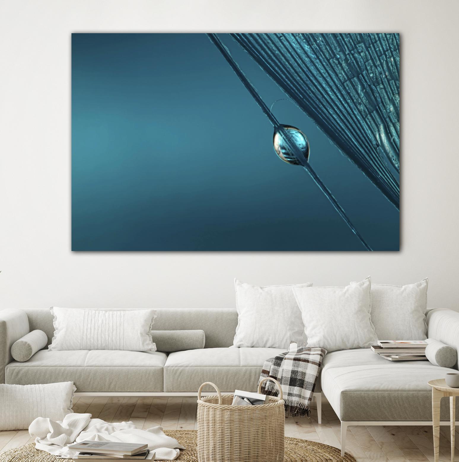 Blue by Sharon Johnstone on GIANT ART - blue photo art