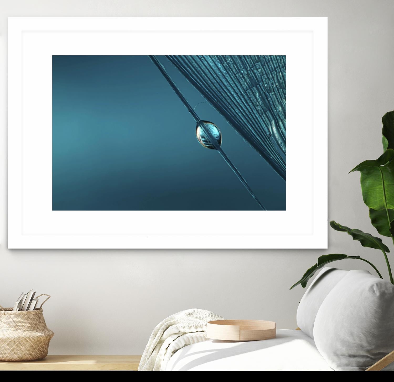 Blue by Sharon Johnstone on GIANT ART - blue photo art