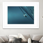Blue by Sharon Johnstone on GIANT ART - blue photo art