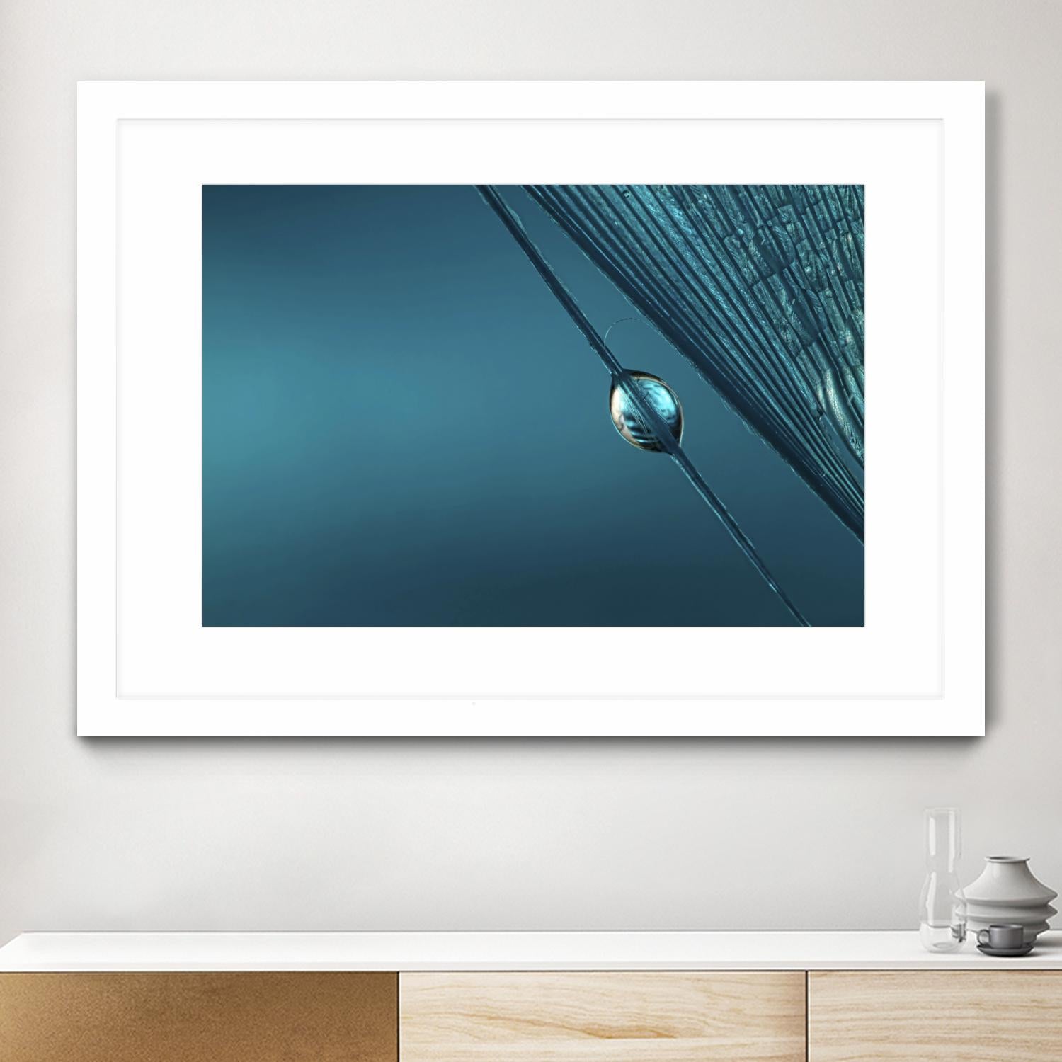 Blue by Sharon Johnstone on GIANT ART - blue photo art