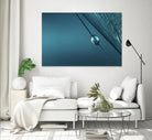 Blue by Sharon Johnstone on GIANT ART - blue photo art
