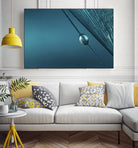Blue by Sharon Johnstone on GIANT ART - blue photo art