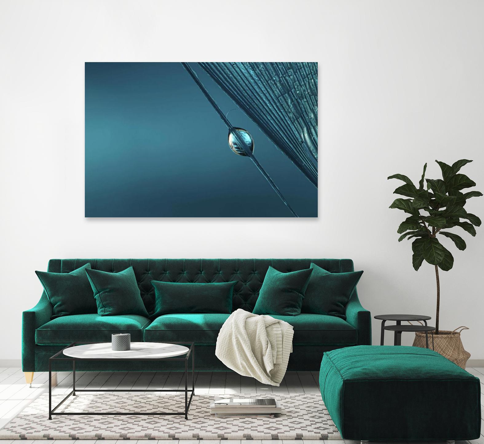 Blue by Sharon Johnstone on GIANT ART - blue photo art