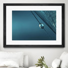 Blue by Sharon Johnstone on GIANT ART - blue photo art