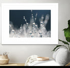 Snow white Ice blue by Sharon Johnstone on GIANT ART - white winter scenes