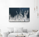 Snow white Ice blue by Sharon Johnstone on GIANT ART - white winter scenes