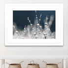 Snow white Ice blue by Sharon Johnstone on GIANT ART - white winter scenes