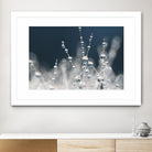 Snow white Ice blue by Sharon Johnstone on GIANT ART - white winter scenes