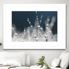 Snow white Ice blue by Sharon Johnstone on GIANT ART - white winter scenes