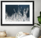 Snow white Ice blue by Sharon Johnstone on GIANT ART - white winter scenes